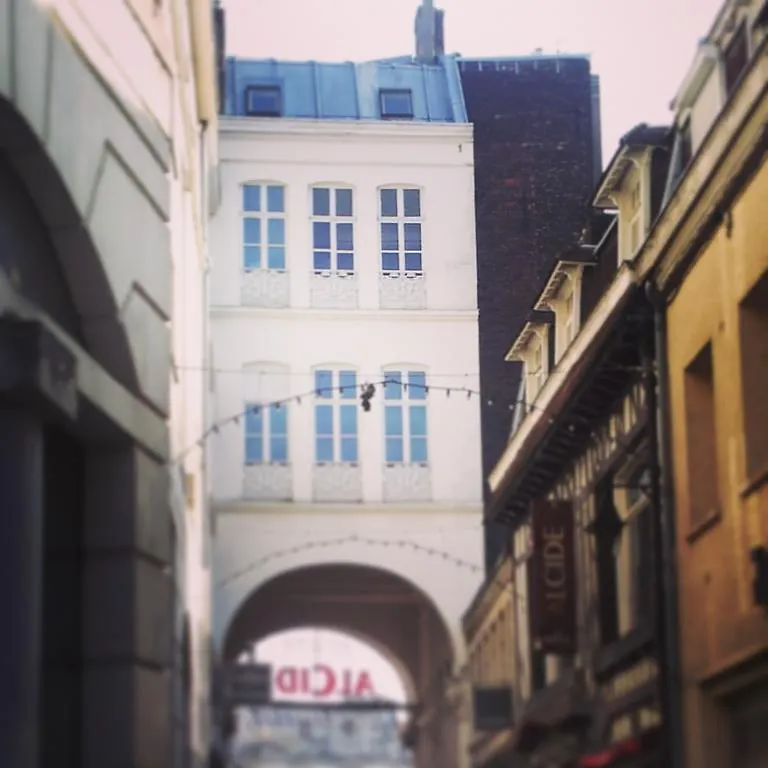 Nestyou Vieux Lille Centre Ville France